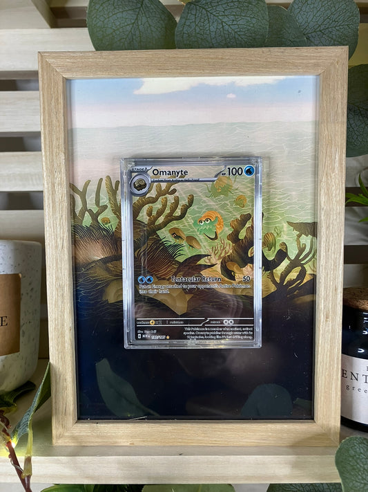 Omanyte
