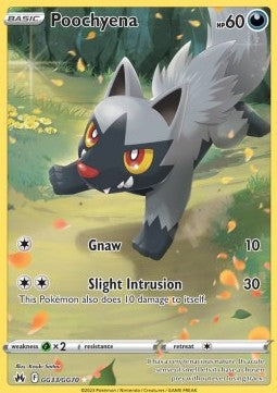 Poochyena  (CRZ GG33)